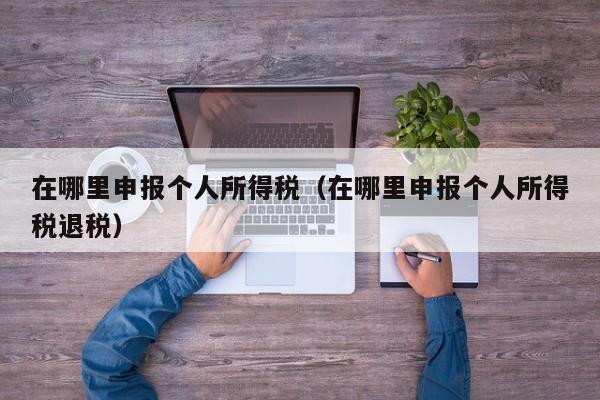 在哪里申报个人所得税（在哪里申报个人所得税退税）