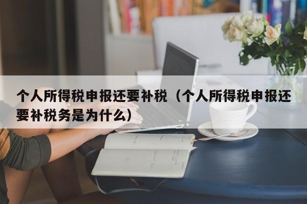 个人所得税申报还要补税（个人所得税申报还要补税务是为什么）