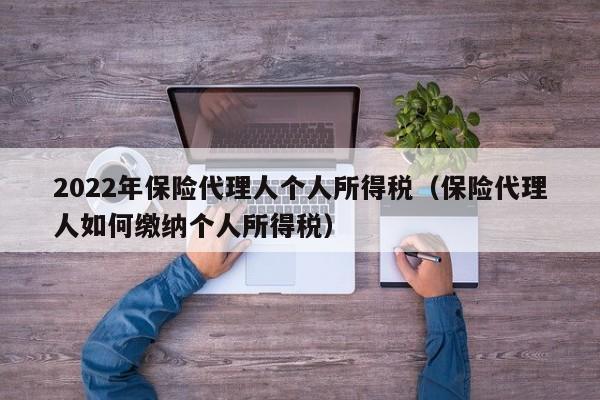 2022年保险代理人个人所得税（保险代理人如何缴纳个人所得税）