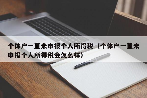 个体户一直未申报个人所得税（个体户一直未申报个人所得税会怎么样）