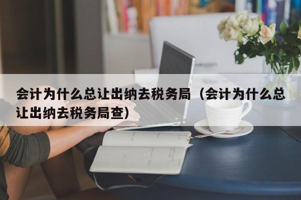 会计为什么总让出纳去税务局（会计为什么总让出纳去税务局查）