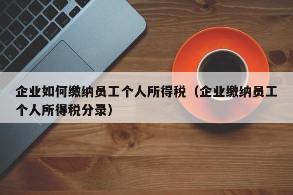 企业如何缴纳员工个人所得税（企业缴纳员工个人所得税分录）