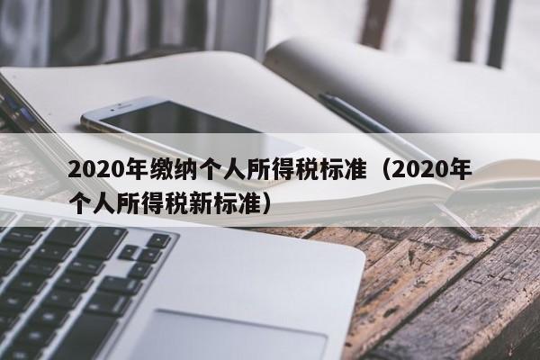 2020年缴纳个人所得税标准（2020年个人所得税新标准）