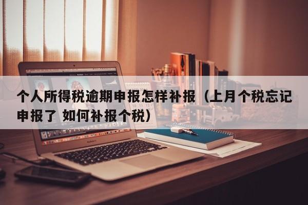 个人所得税逾期申报怎样补报（上月个税忘记申报了 如何补报个税）