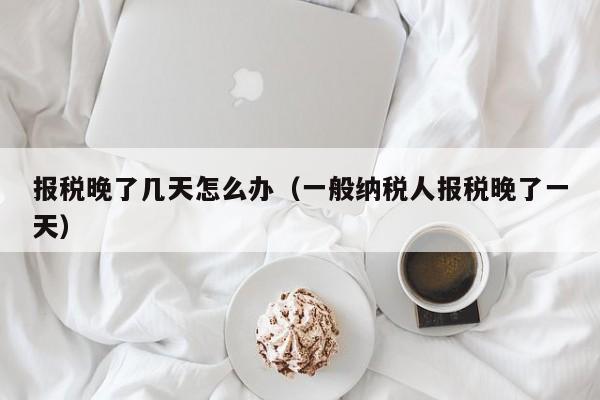 报税晚了几天怎么办（一般纳税人报税晚了一天）