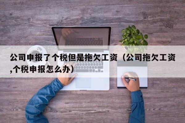 公司申报了个税但是拖欠工资（公司拖欠工资,个税申报怎么办）