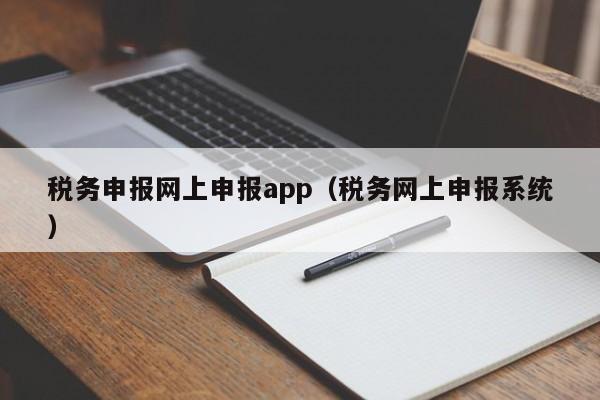 税务申报网上申报app（税务网上申报系统）