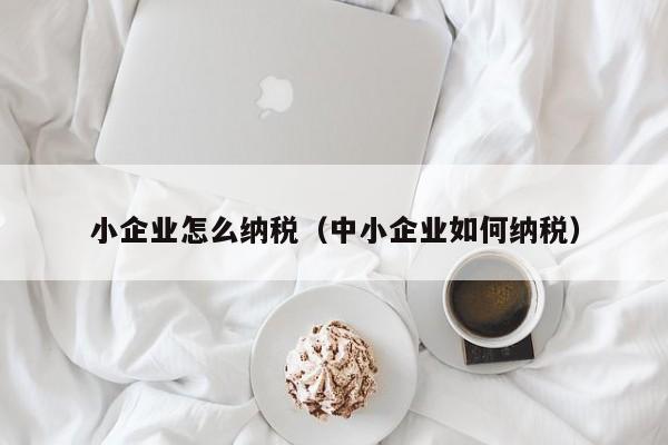 小企业怎么纳税（中小企业如何纳税）