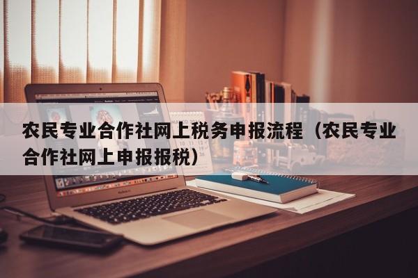 农民专业合作社网上税务申报流程（农民专业合作社网上申报报税）