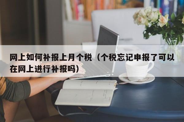 网上如何补报上月个税（个税忘记申报了可以在网上进行补报吗）