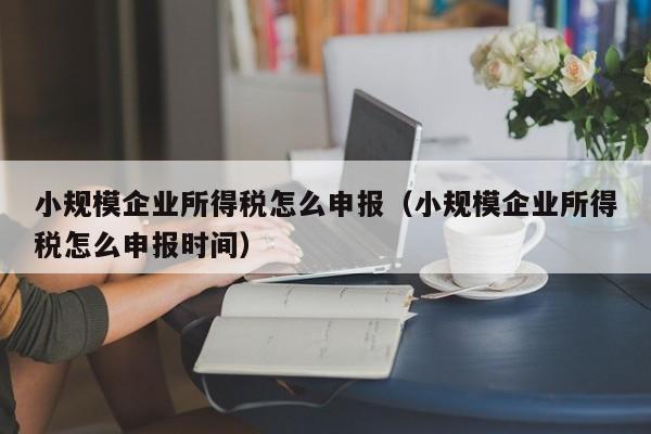 小规模企业所得税怎么申报（小规模企业所得税怎么申报时间）