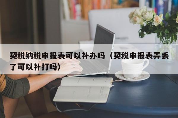 契税纳税申报表可以补办吗（契税申报表弄丢了可以补打吗）