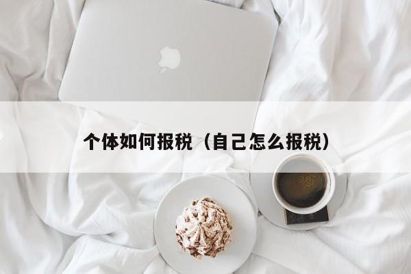 个体如何报税（自己怎么报税）