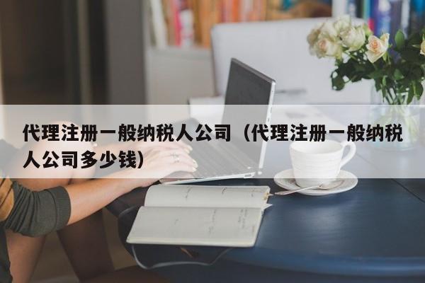 代理注册一般纳税人公司（代理注册一般纳税人公司多少钱）