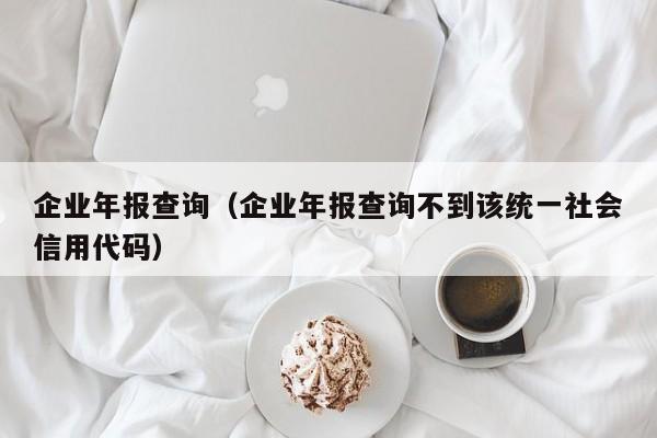 企业年报查询（企业年报查询不到该统一社会信用代码）