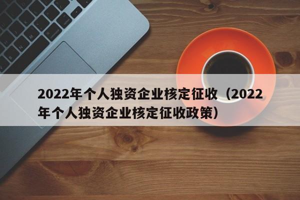 2022年个人独资企业核定征收（2022年个人独资企业核定征收政策）