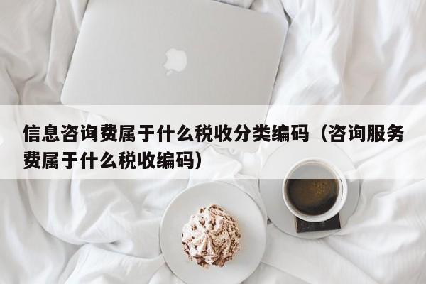 信息咨询费属于什么税收分类编码（咨询服务费属于什么税收编码）