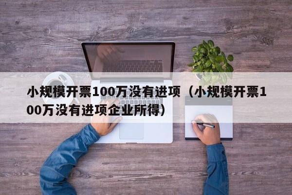 小规模开票100万没有进项（小规模开票100万没有进项企业所得）