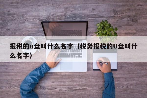 报税的u盘叫什么名字（税务报税的U盘叫什么名字）