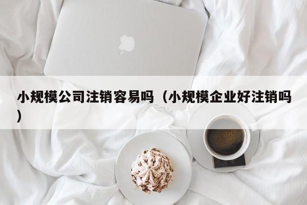 小规模公司注销容易吗（小规模企业好注销吗）