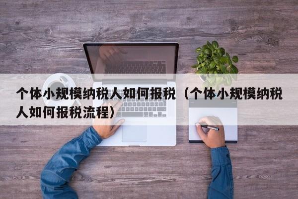 个体小规模纳税人如何报税（个体小规模纳税人如何报税流程）