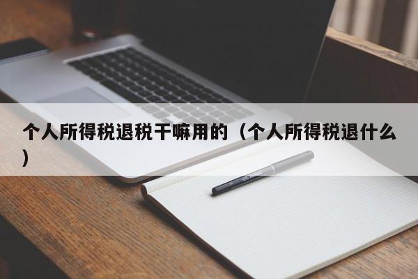 个人所得税退税干嘛用的（个人所得税退什么）