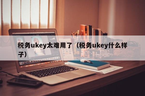 税务ukey太难用了（税务ukey什么样子）