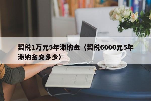 契税1万元5年滞纳金（契税6000元5年滞纳金交多少）