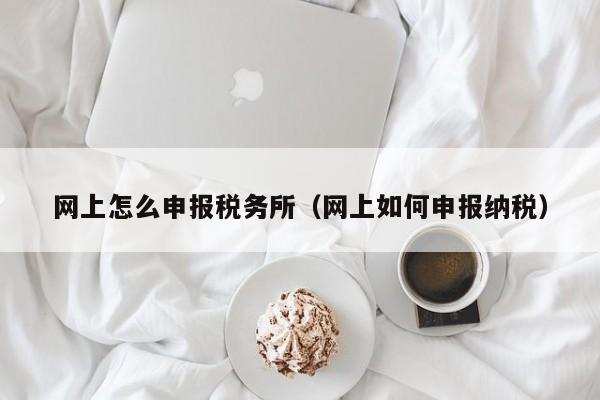 网上怎么申报税务所（网上如何申报纳税）