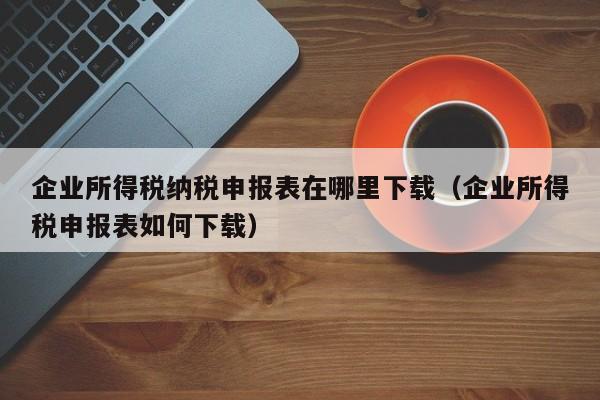 企业所得税纳税申报表在哪里下载（企业所得税申报表如何下载）