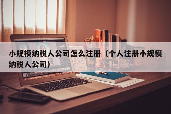 小规模纳税人公司怎么注册（个人注册小规模纳税人公司）