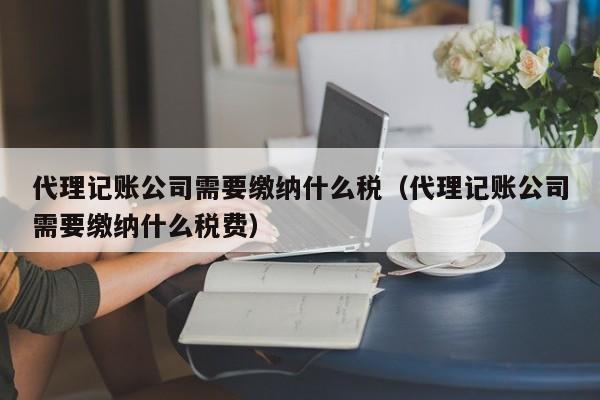 代理记账公司需要缴纳什么税（代理记账公司需要缴纳什么税费）