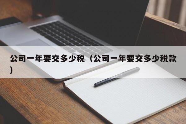 公司一年要交多少税（公司一年要交多少税款）