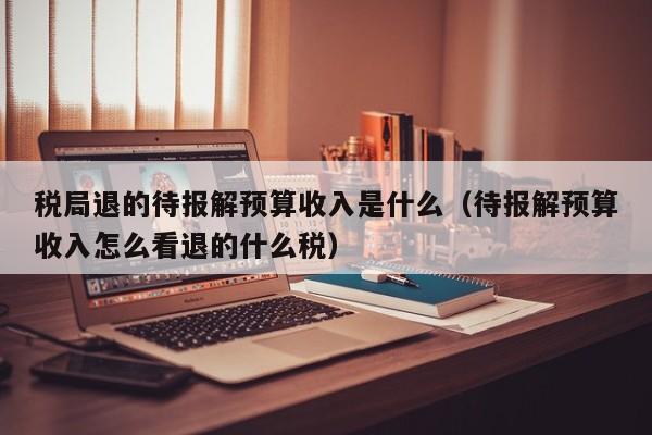 税局退的待报解预算收入是什么（待报解预算收入怎么看退的什么税）