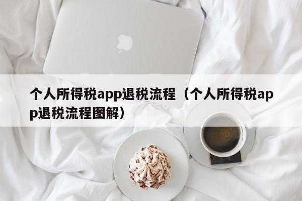 个人所得税app退税流程（个人所得税app退税流程图解）