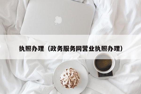 执照办理（政务服务网营业执照办理）