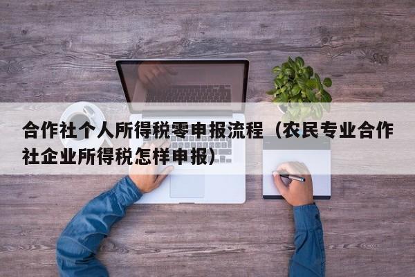 合作社个人所得税零申报流程（农民专业合作社企业所得税怎样申报）