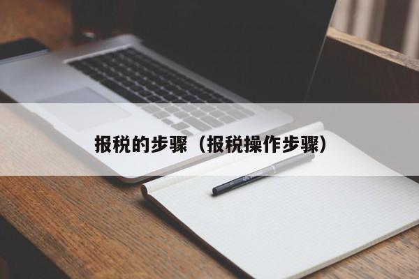 报税的步骤（报税操作步骤）