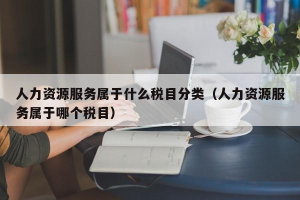 人力资源服务属于什么税目分类（人力资源服务属于哪个税目）