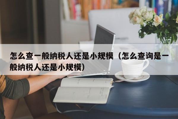 怎么查一般纳税人还是小规模（怎么查询是一般纳税人还是小规模）