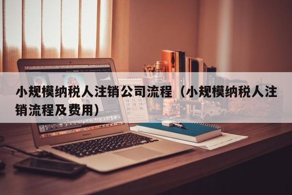 小规模纳税人注销公司流程（小规模纳税人注销流程及费用）