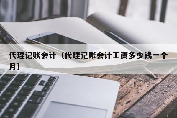 代理记账会计（代理记账会计工资多少钱一个月）