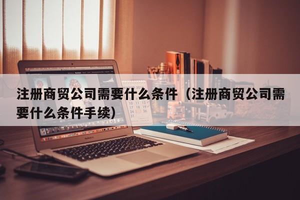 注册商贸公司需要什么条件（注册商贸公司需要什么条件手续）