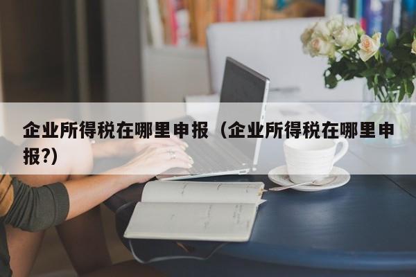 企业所得税在哪里申报（企业所得税在哪里申报?）