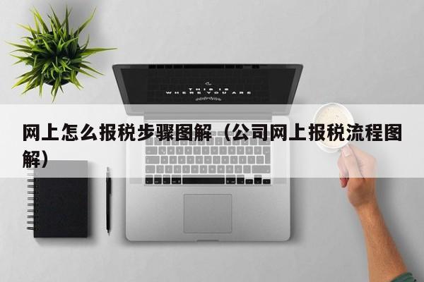 网上怎么报税步骤图解（公司网上报税流程图解）