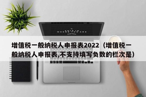 增值税一般纳税人申报表2022（增值税一般纳税人申报表,不支持填写负数的栏次是）