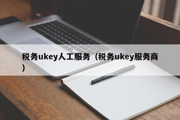 税务ukey人工服务（税务ukey服务商）