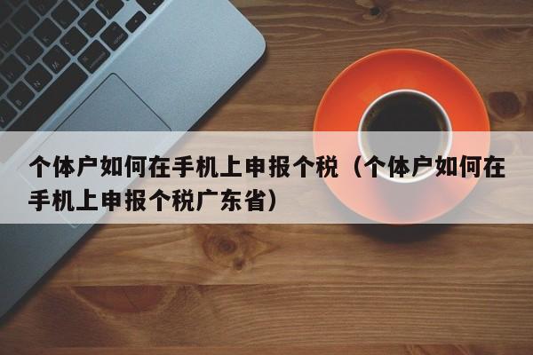 个体户如何在手机上申报个税（个体户如何在手机上申报个税广东省）