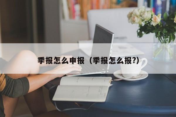 季报怎么申报（季报怎么报?）