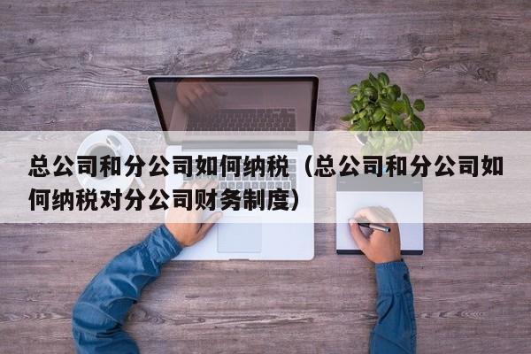 总公司和分公司如何纳税（总公司和分公司如何纳税对分公司财务制度）